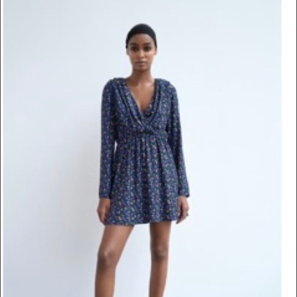 Zara dress